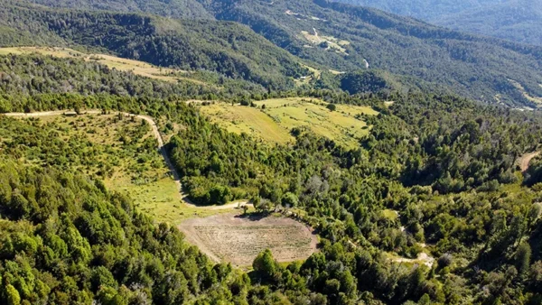 Campo Yerbas Buenas (2)