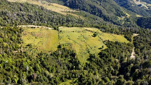 Campo Yerbas Buenas (3)