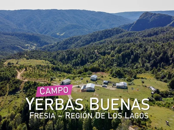 Campo Yerbas Buenas Fresia