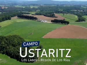 Campo Ustaritz Los Lagos