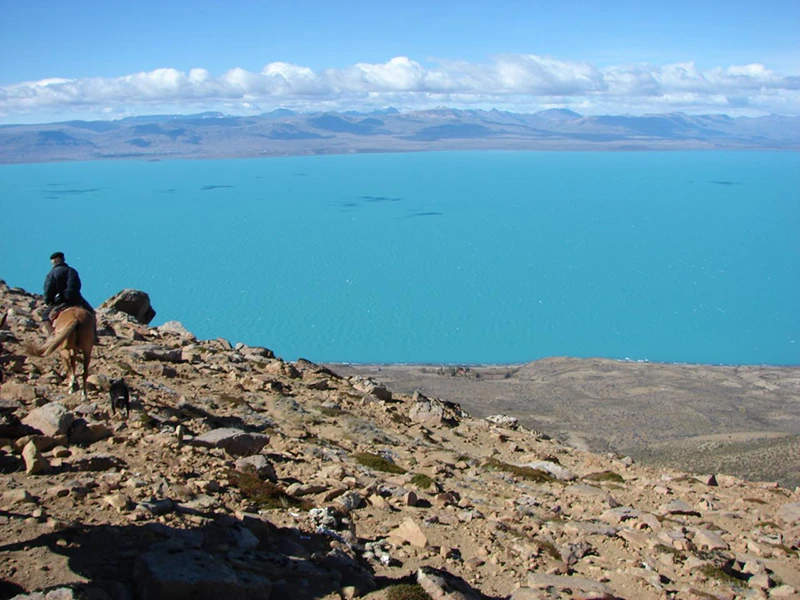 Propiedades en el sur de Chile