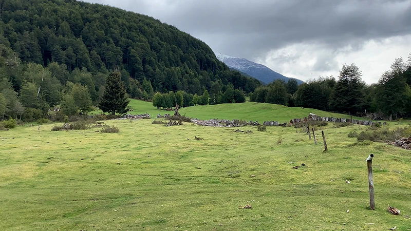 Propiedades en el sur de Chile
