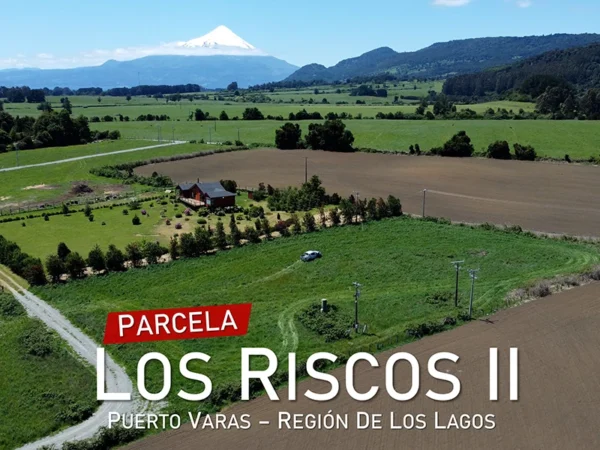 Plot The Risks II Ensenada