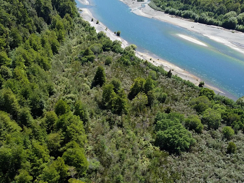 Propiedades en el sur de Chile