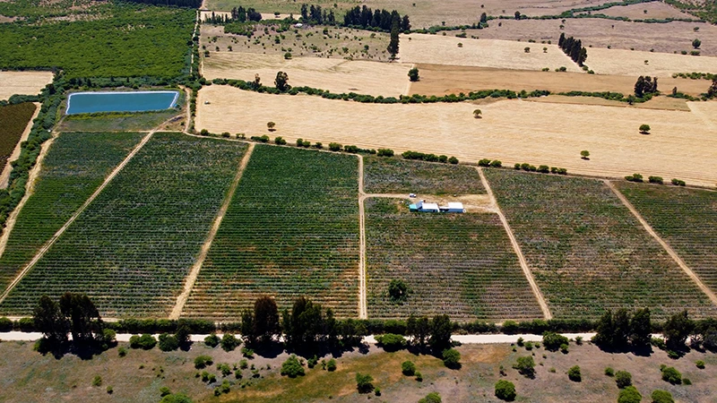 Propiedades en el sur de Chile