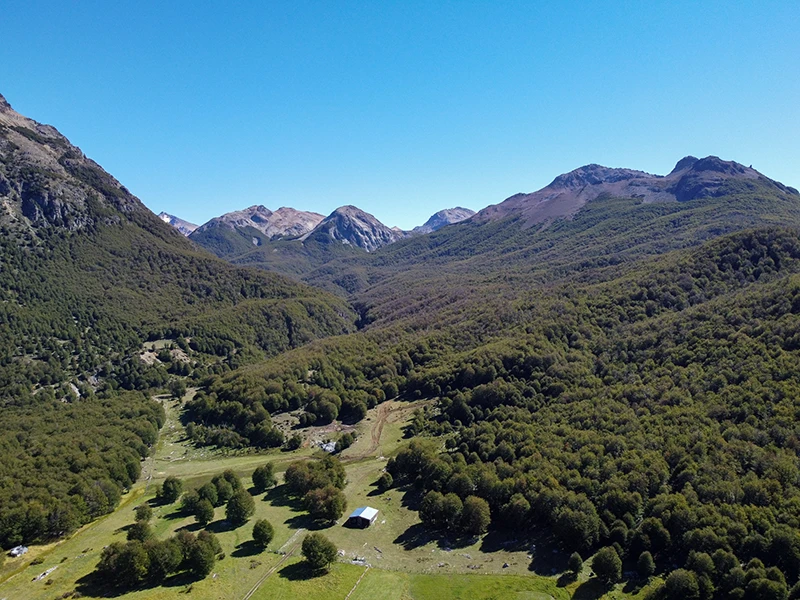 Propiedades en el sur de Chile