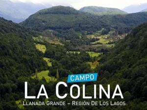 Campo La Colina Llanada Grande