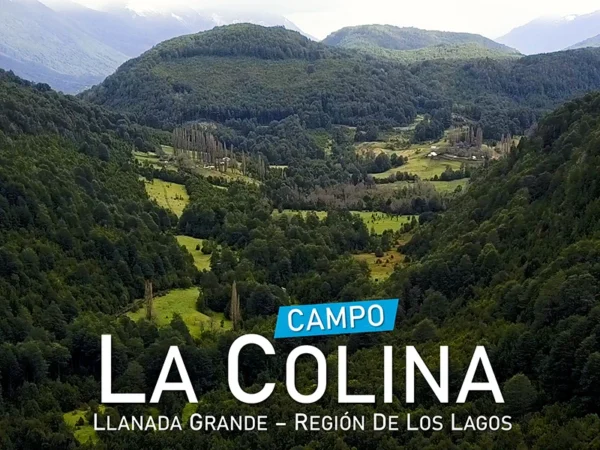 Campo La Colina Llanada Grande