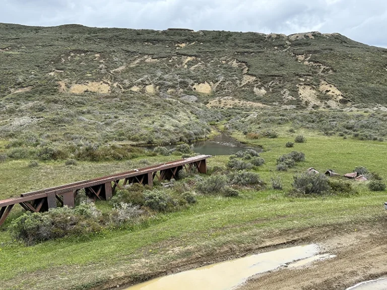 Porvenir fiebre del oro 2