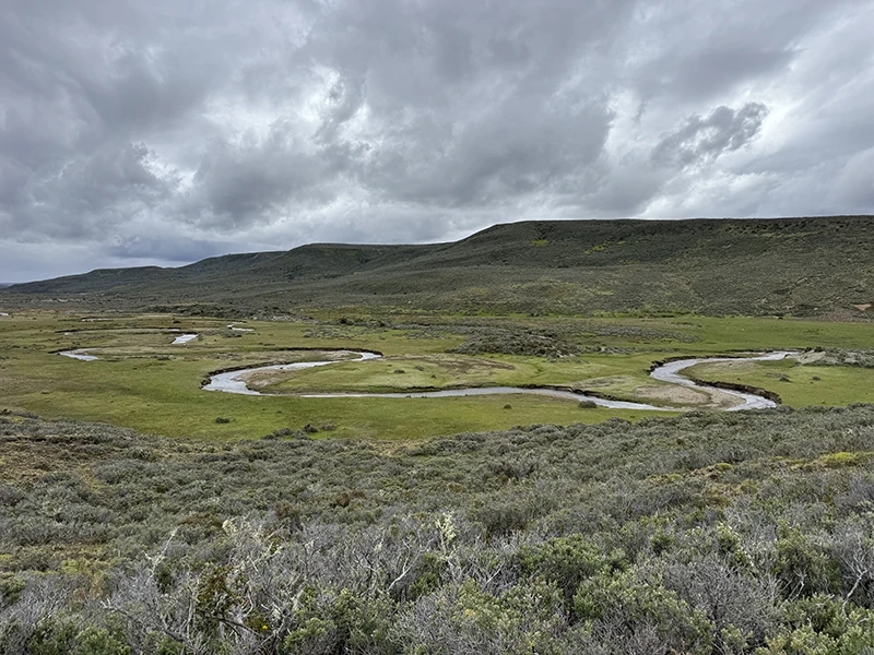 Provenir fiebre del oro1 RIO DEL ORO