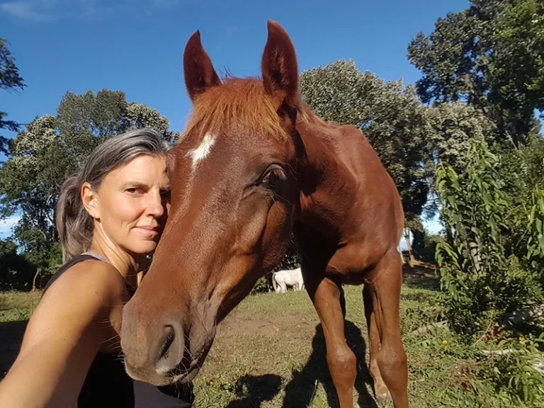 SUIZA DE PICHIJUAN CABALLOS 2