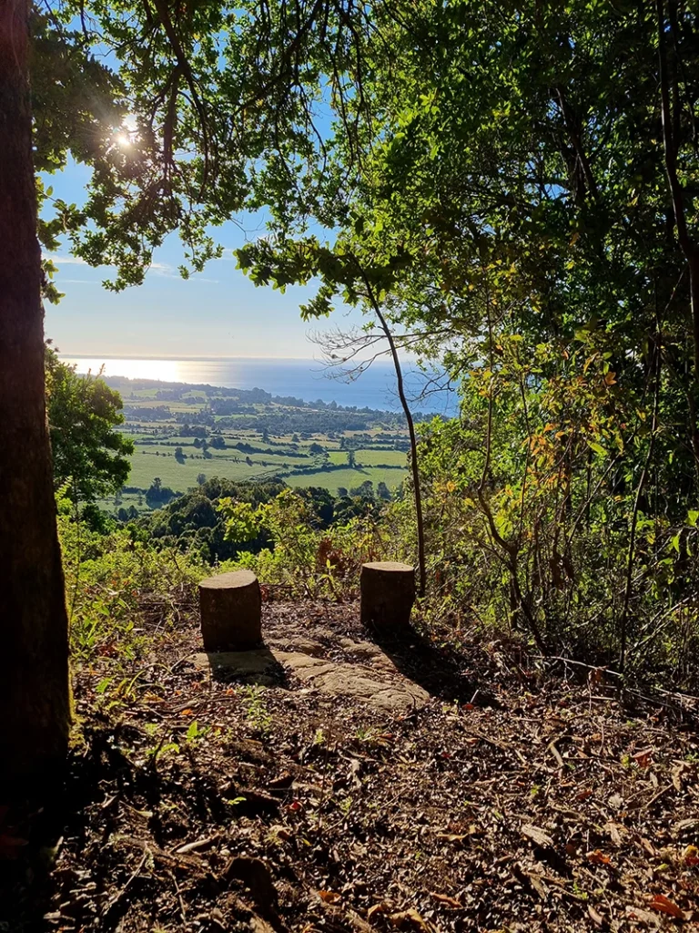 TRBAJANDO 2 SUIZA DE PICHIJUAN