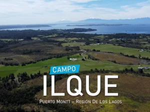 Campo Ilque Puerto Montt