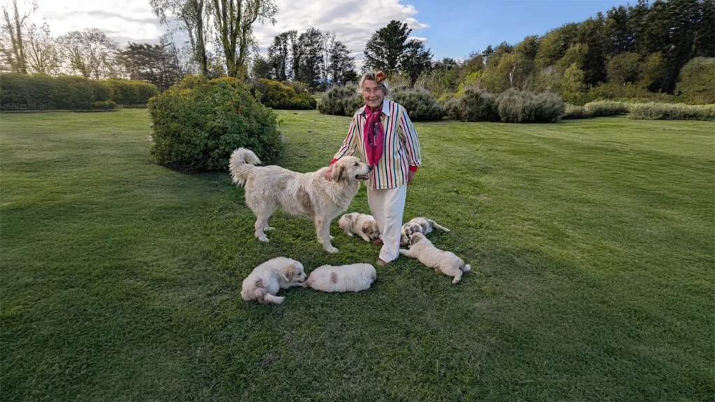 Ivanka Vostrejs Hajek