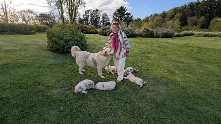 Ivanka Vostrejs Hajek